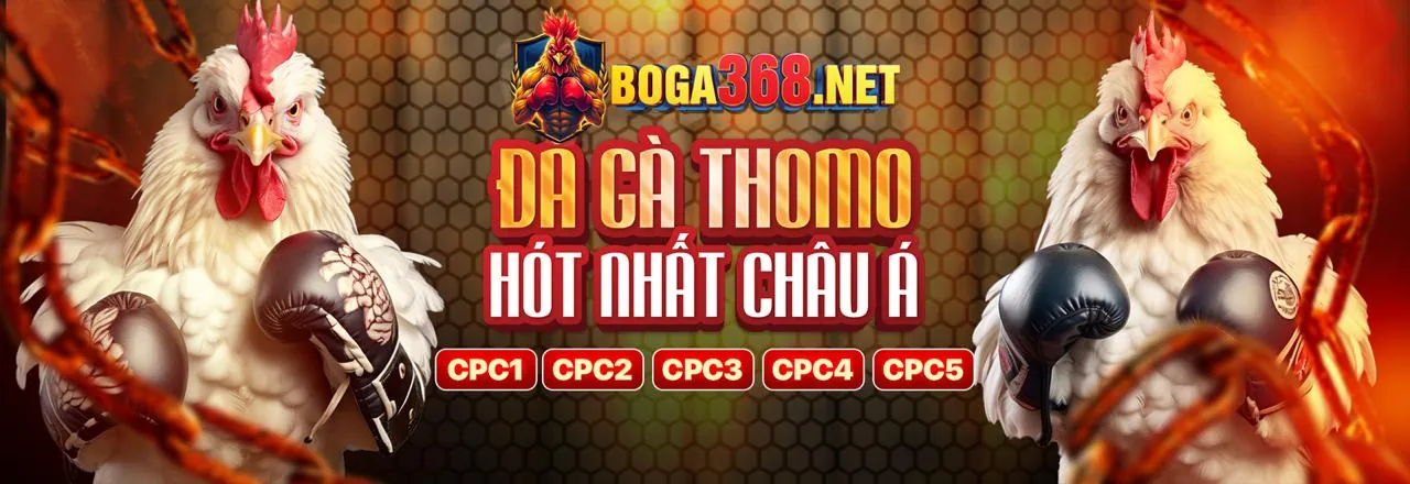 Đá Gà Trực Tuyến shbet88 nhà cái